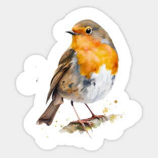 Robin Bird Watercolor Sticker